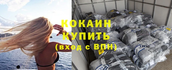 ГАЛЛЮЦИНОГЕННЫЕ ГРИБЫ Верея