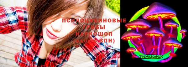 ГАЛЛЮЦИНОГЕННЫЕ ГРИБЫ Верея