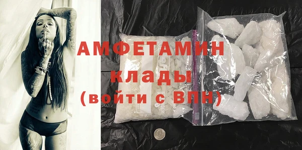 ГАЛЛЮЦИНОГЕННЫЕ ГРИБЫ Верея