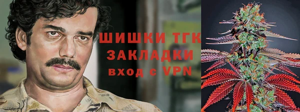 ГАЛЛЮЦИНОГЕННЫЕ ГРИБЫ Верея